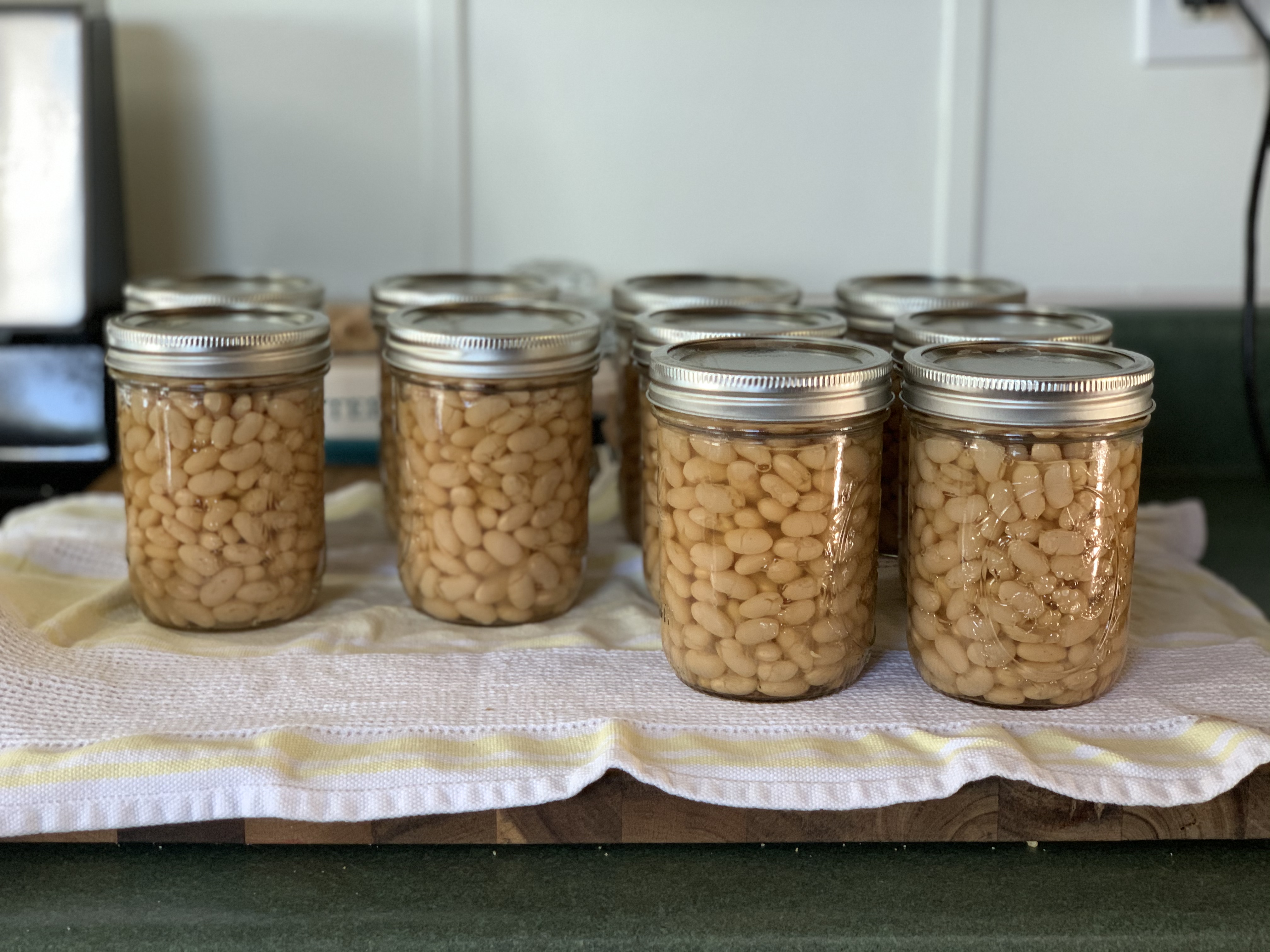 10 jars of cannellini beans canned and cooling on towel
