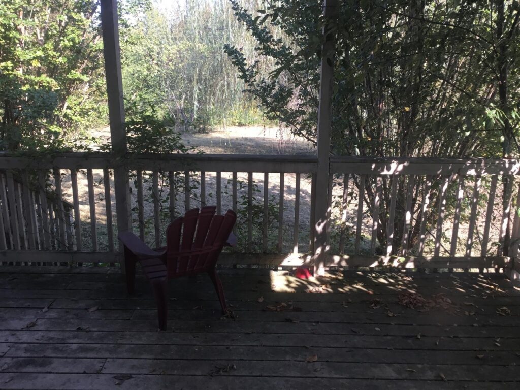 Image of our first home front porch with trees overgrown in front