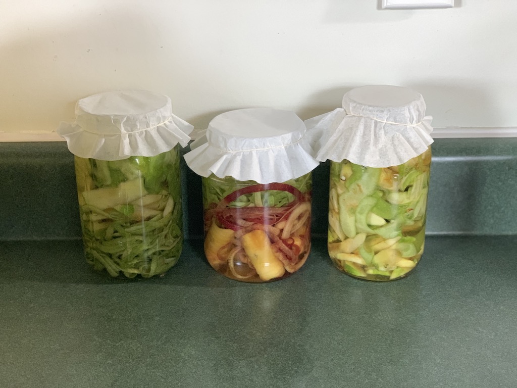 3 jars of apple scraps fermenting on counter 